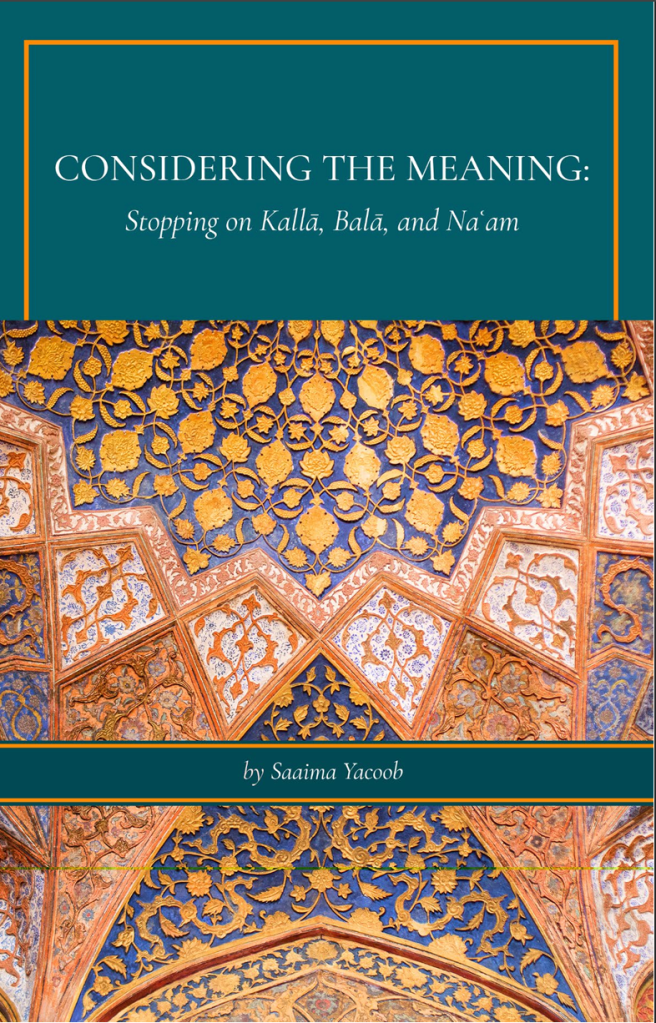 Book Cover for Considering the Meaning