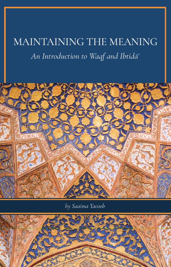 Book Cover for Maintaining the Meaning